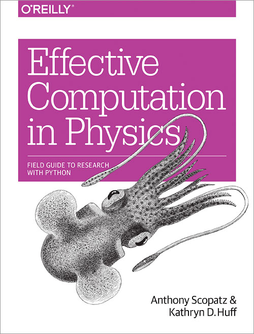 Effective Computation in Physics book